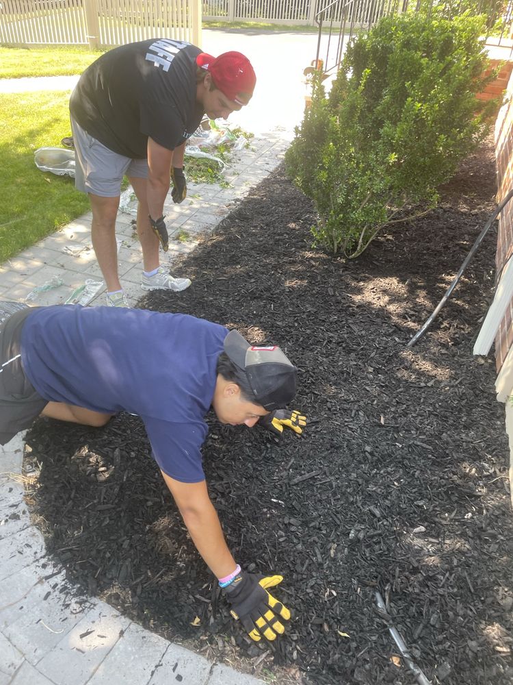 Two Joe's workers spreading fresh mulch in a garden bed.