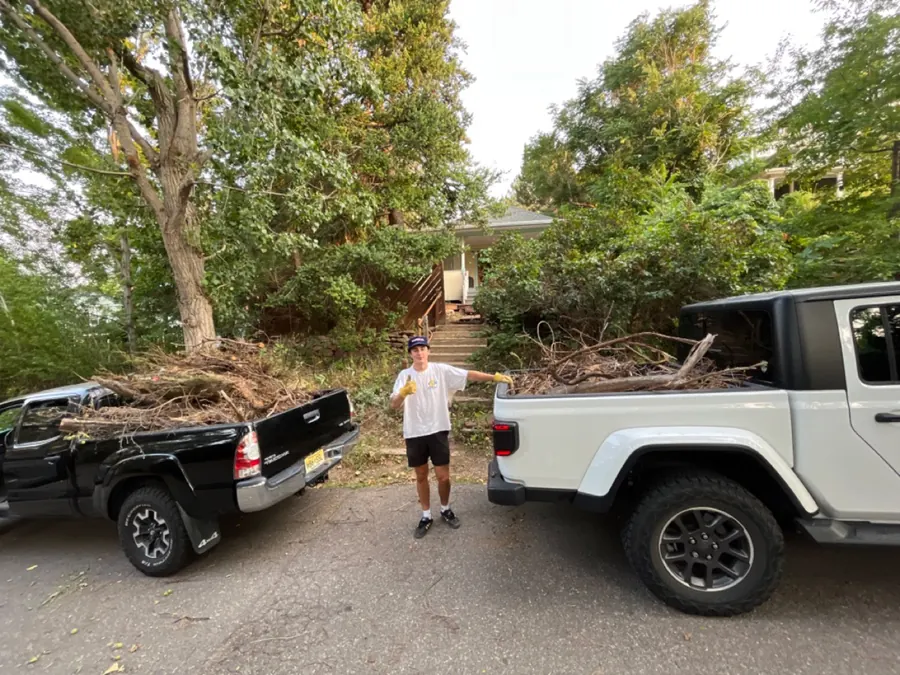 Worker beside trucks filled with cleared branches